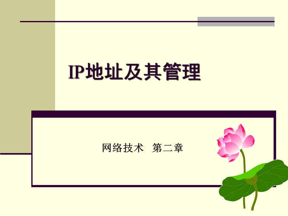 《IP地址及其》PPT课件.ppt_第1页