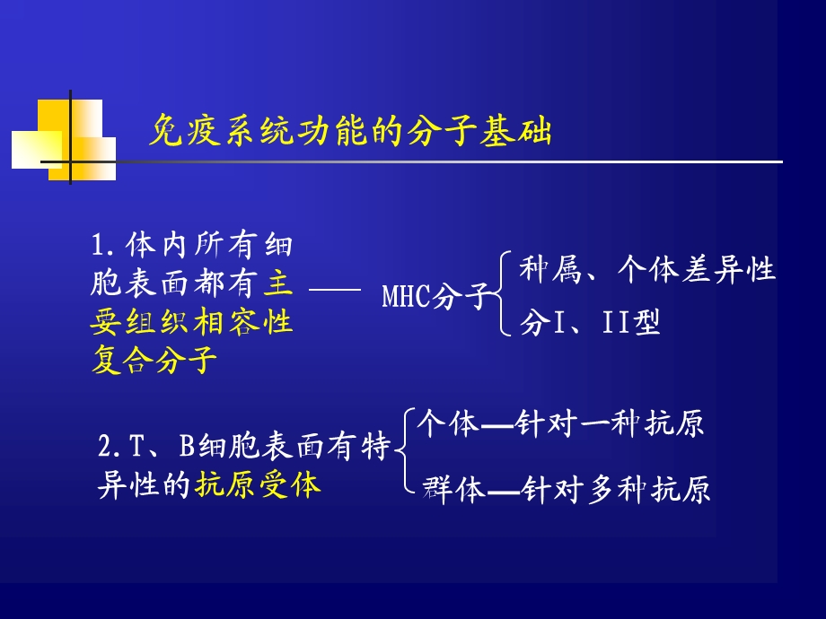 《疫系统本科》PPT课件.ppt_第3页