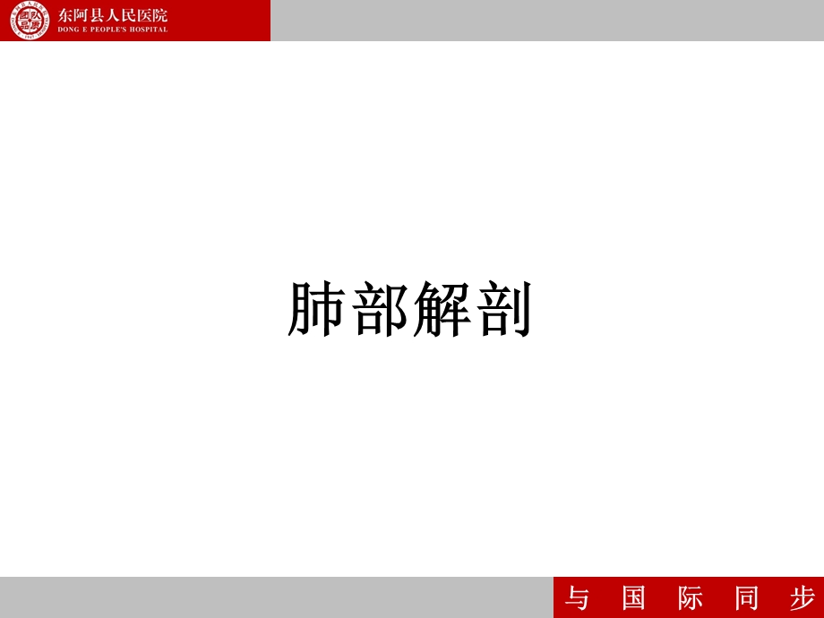 《支气管镜指南》PPT课件.ppt_第2页