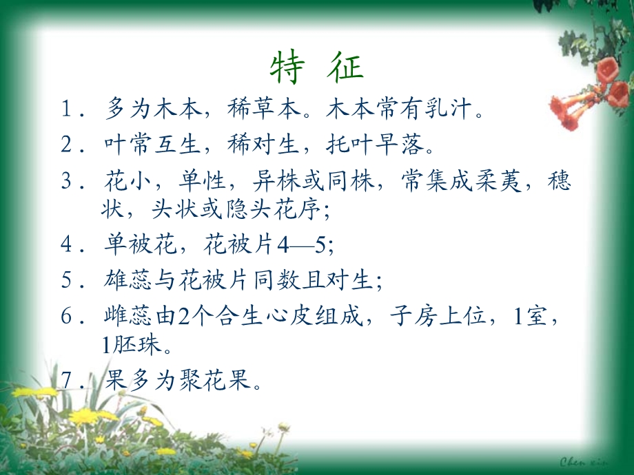 《植物分类桑科》PPT课件.ppt_第2页