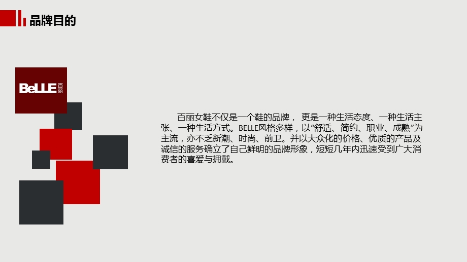 《百丽营销策划案》PPT课件.ppt_第3页