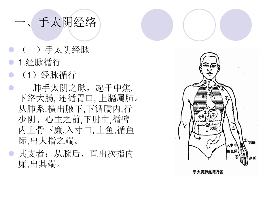 《经络穴位解说》PPT课件.ppt_第2页