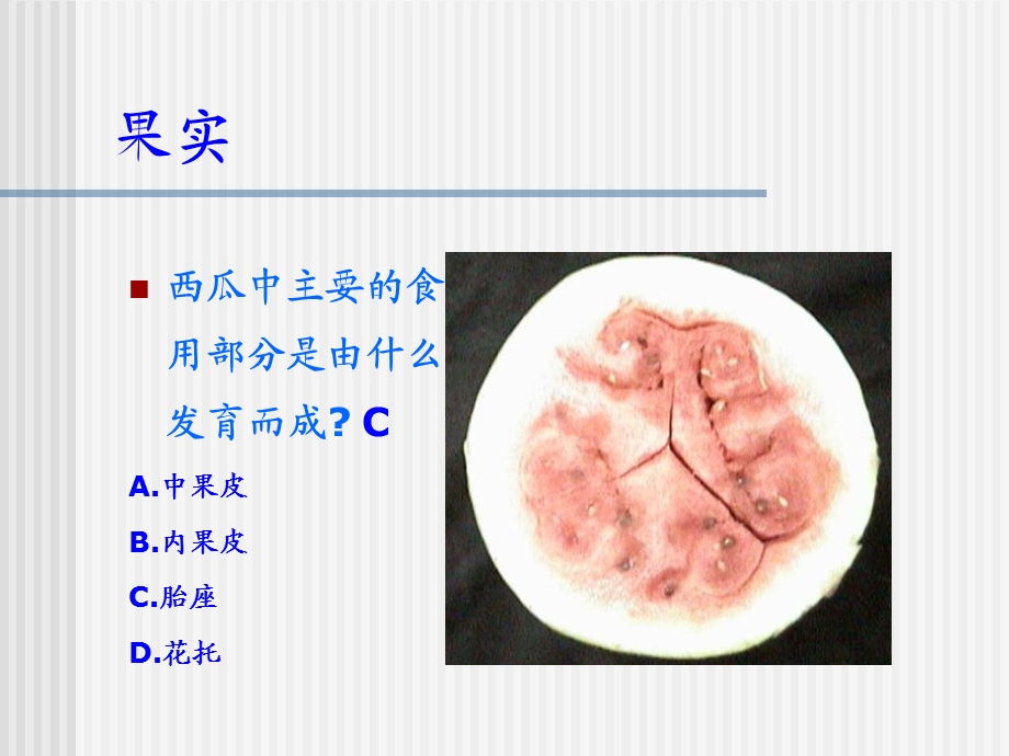 《生物知识竞赛》PPT课件.ppt_第2页