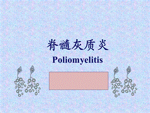 《脊髓灰质炎》PPT课件.ppt