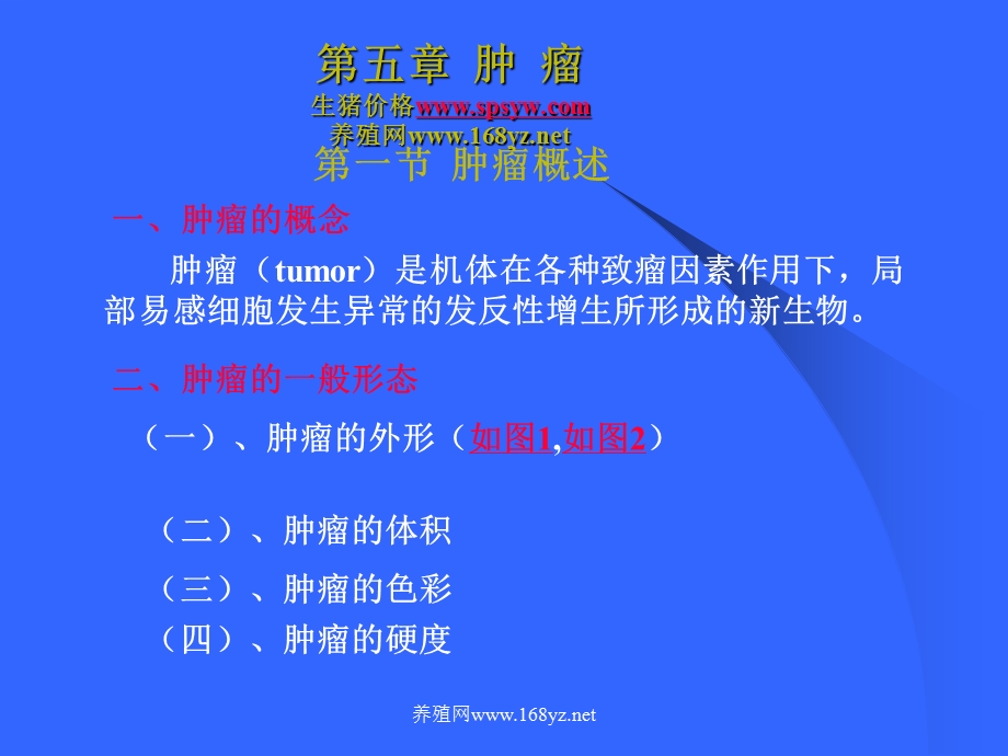 视频兽医网肿瘤.ppt_第1页