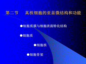 《真核细胞的》PPT课件.ppt