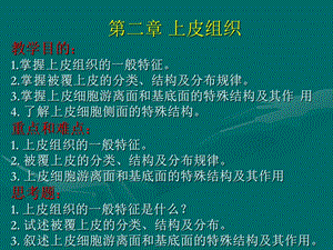 组织学与胚胎学 第二章 上皮组织.ppt