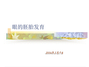 眼的胚胎发育.ppt