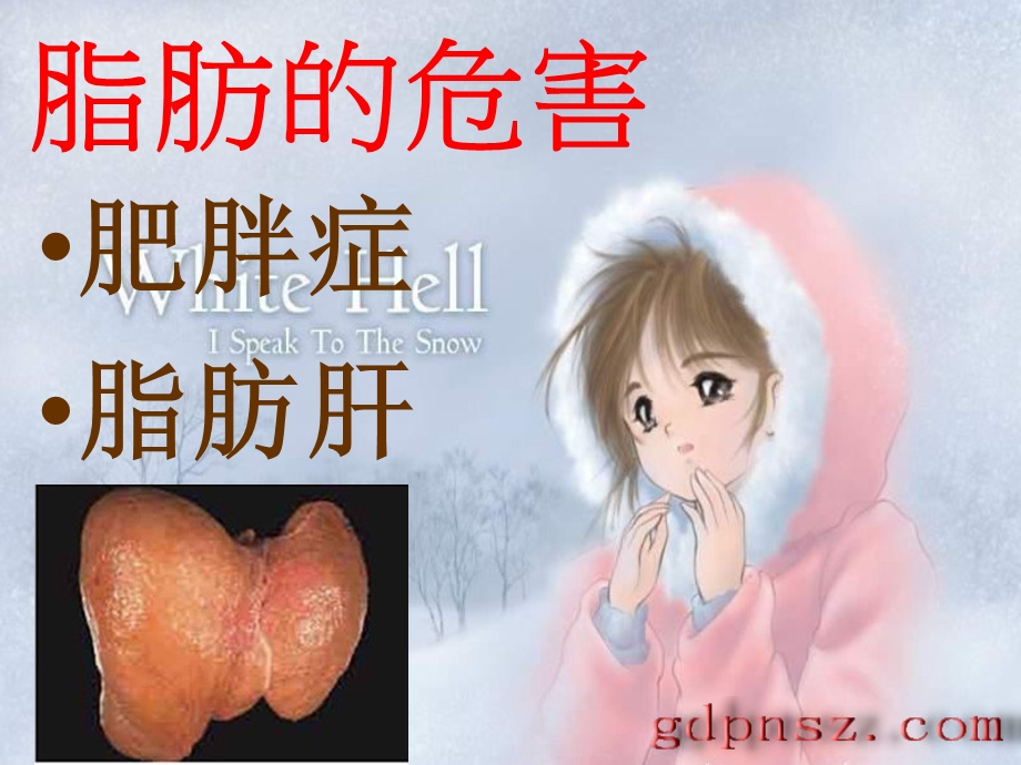 《脂肪与健康》PPT课件.ppt_第3页