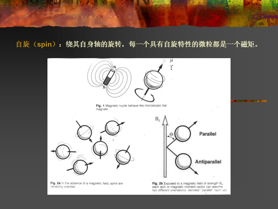 NMRI原理及临床应用创外.ppt_第3页