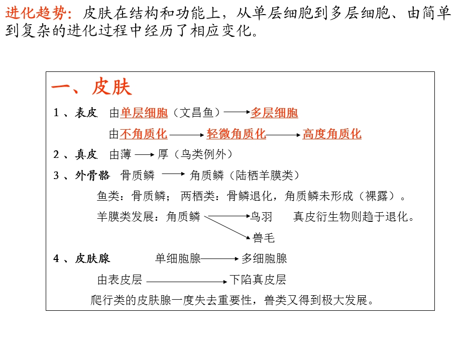 《脊椎动物总结》PPT课件.ppt_第2页