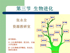 《生物的进化》PPT课件.ppt