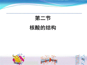 《核酸的结构》PPT课件.ppt