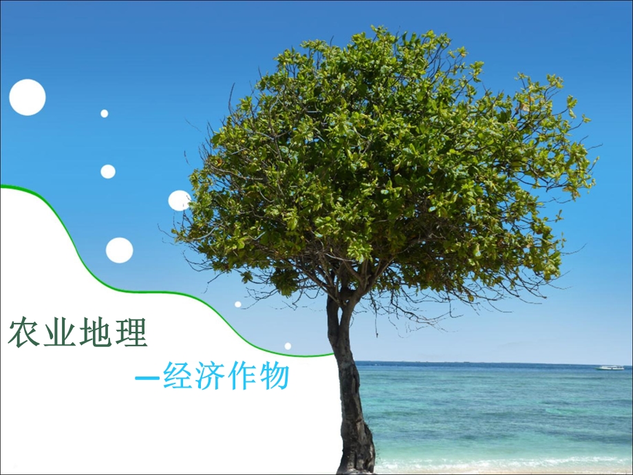 《经济作物》PPT课件.ppt_第1页