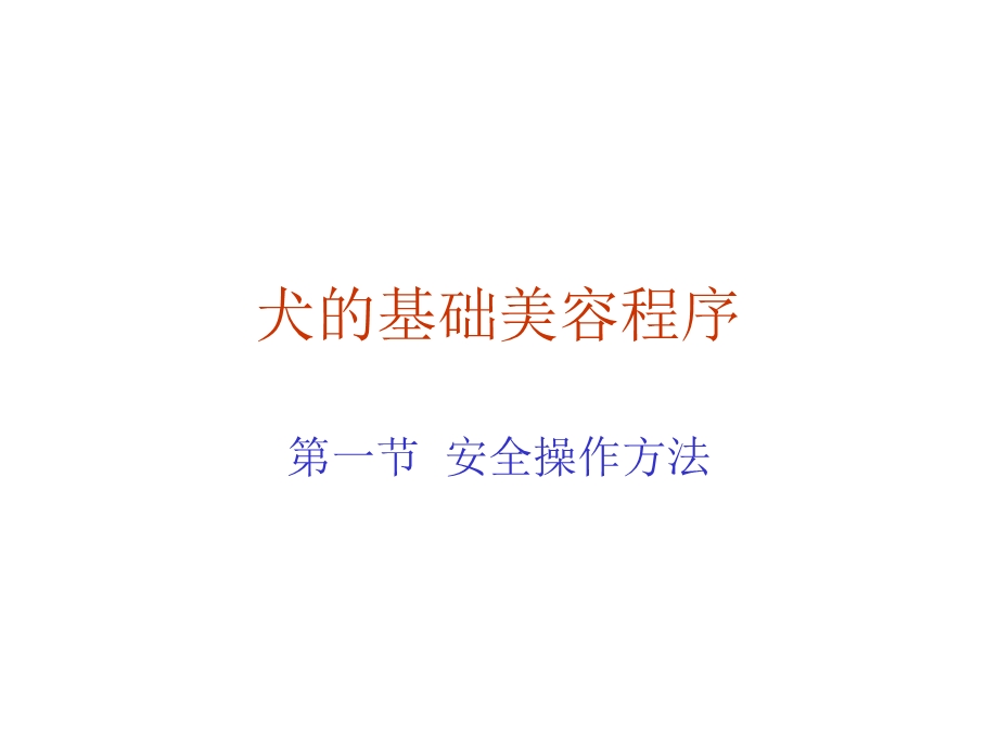 《犬的基础美容程序》PPT课件.ppt_第1页