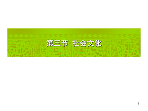 《社会文化》PPT课件.ppt