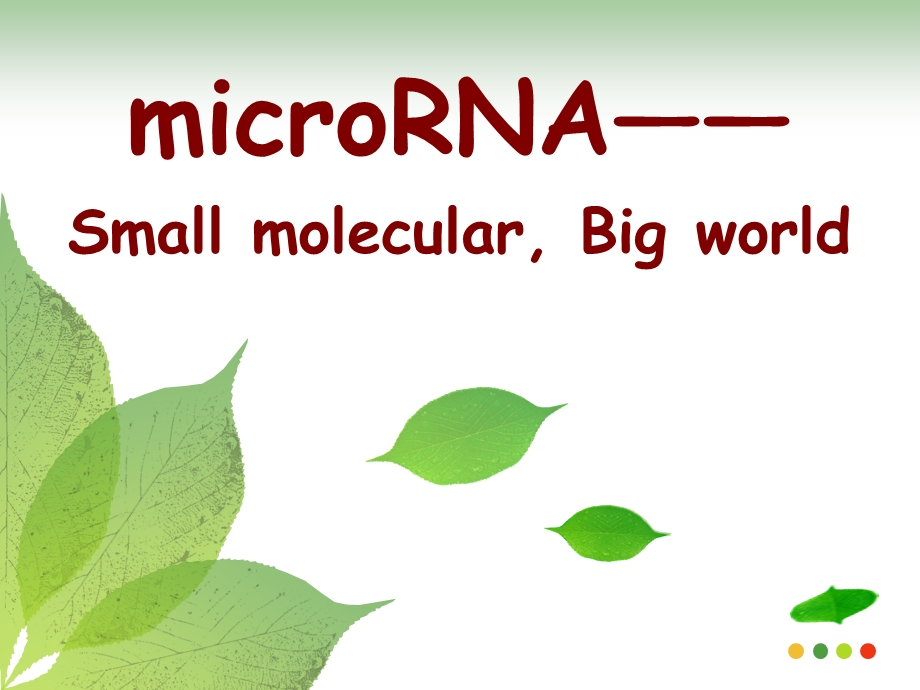 《microRNA研究》PPT课件.ppt_第1页