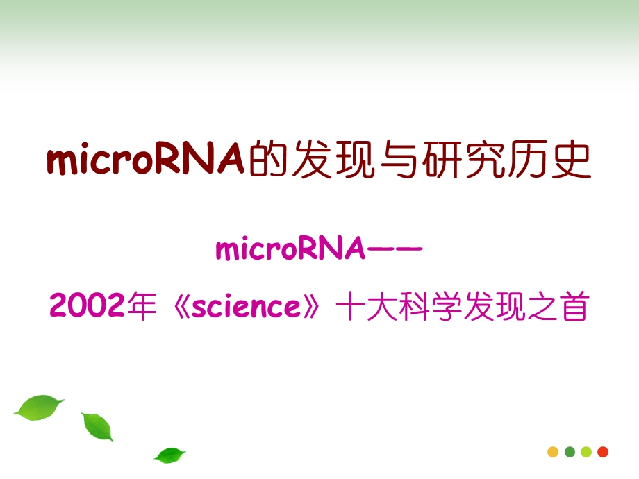 《microRNA研究》PPT课件.ppt_第2页