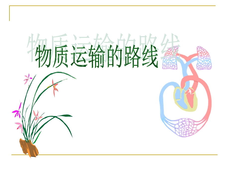 《生物血液循环》PPT课件.ppt_第3页