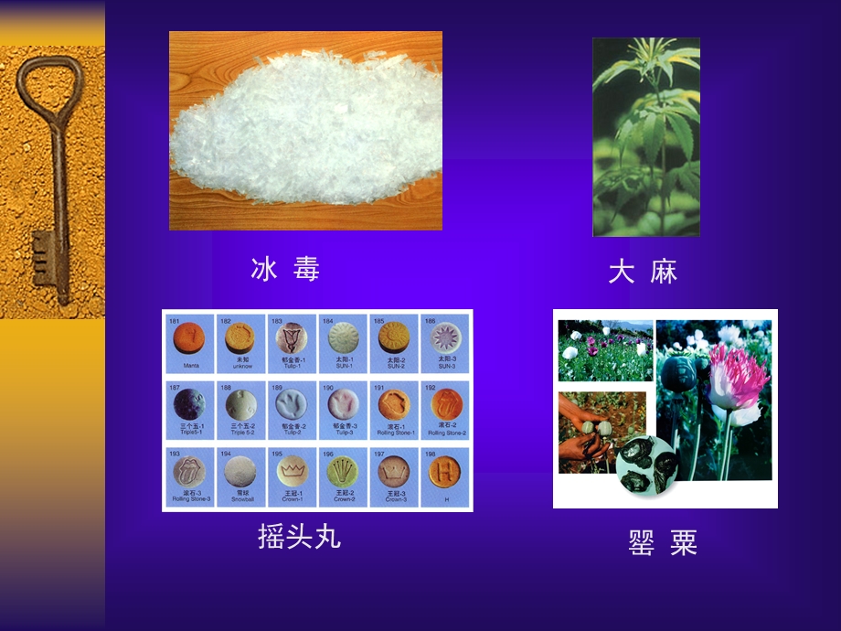 《特殊管理的药》PPT课件.ppt_第2页