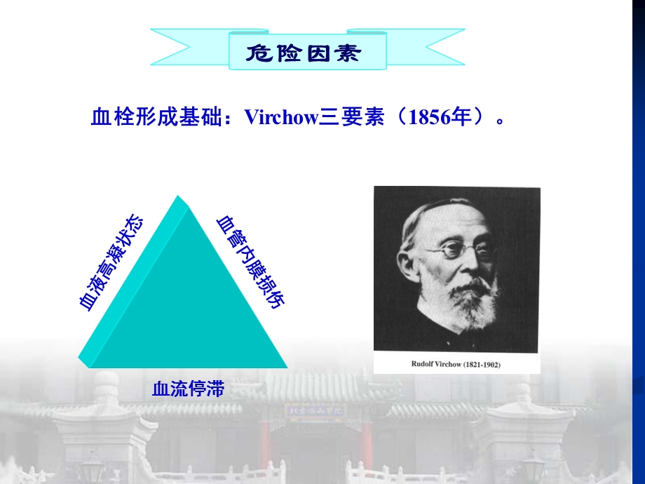 《泌尿外科》PPT课件.ppt_第3页