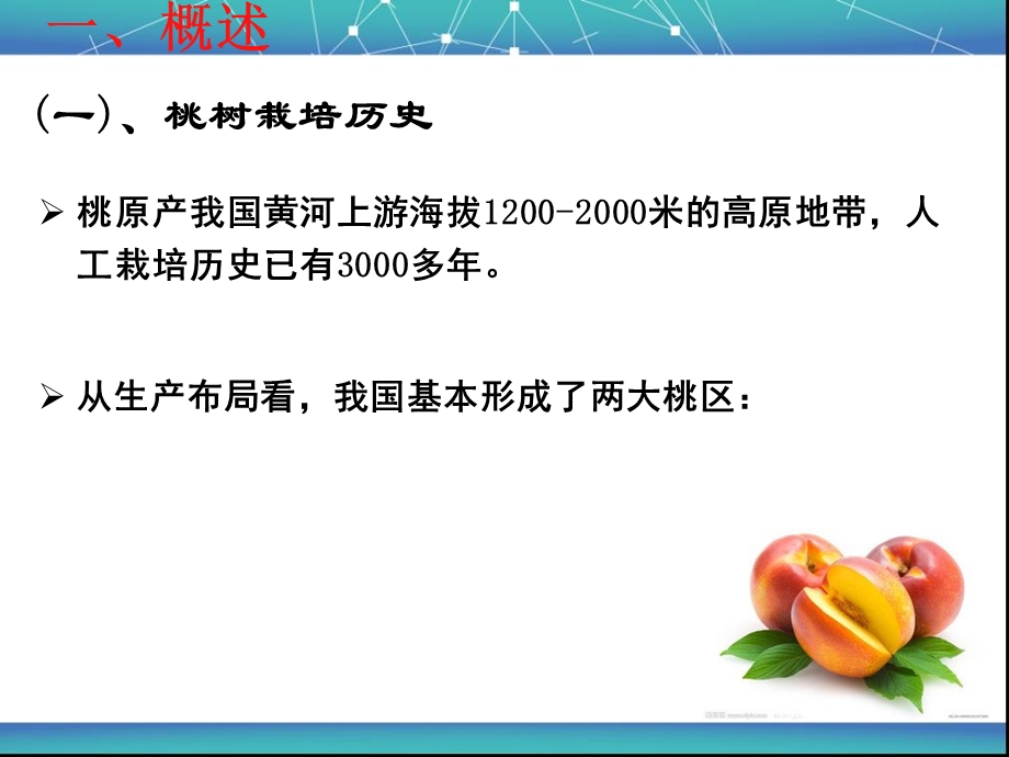 《桃树栽培技术》PPT课件.ppt_第3页