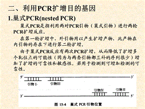 《目的基因的分离》PPT课件.ppt