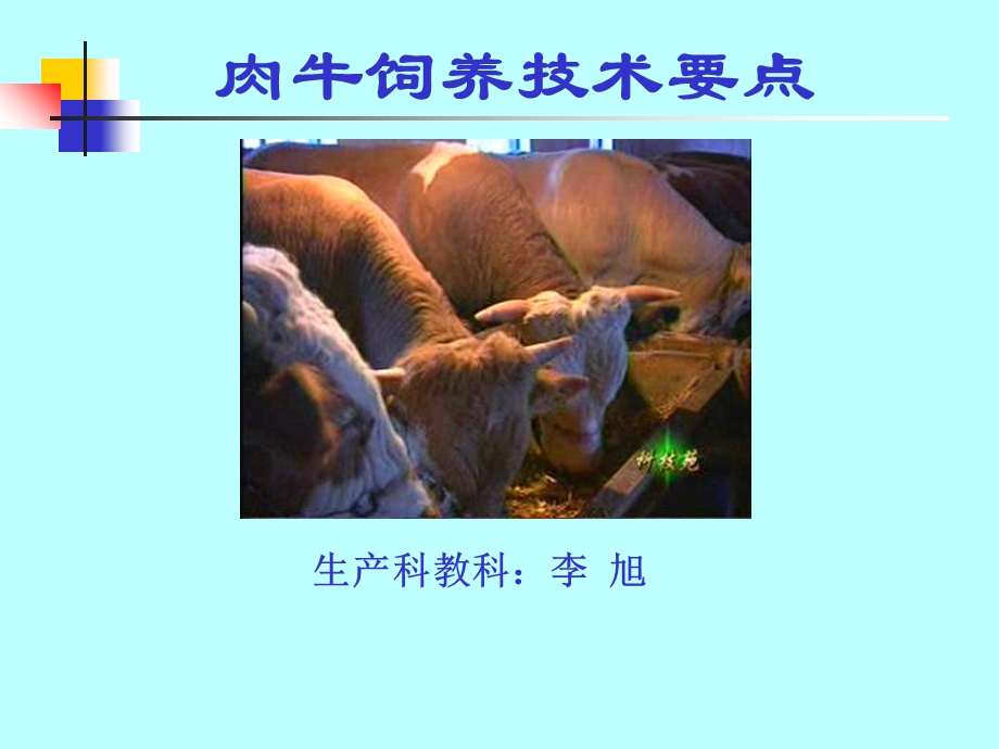 《肉牛饲养技术》PPT课件.ppt_第1页