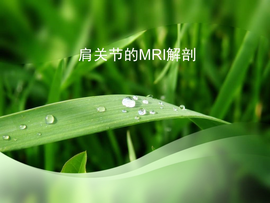 《肩关节MRI解剖》PPT课件.ppt_第1页