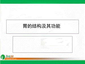 《胃结构及其功能》PPT课件.ppt