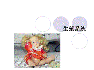 《生殖系统生理》PPT课件.ppt