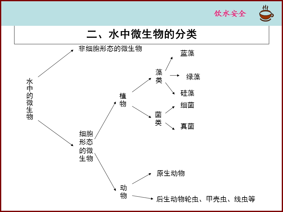 《水中的微生物》PPT课件.ppt_第2页