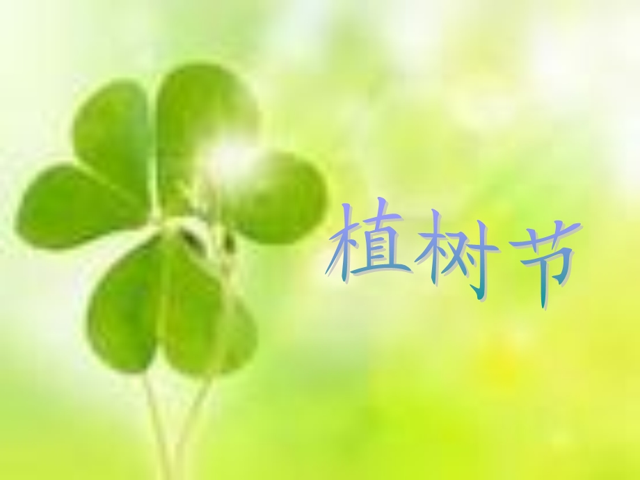 《植树节班会》PPT课件.ppt_第1页