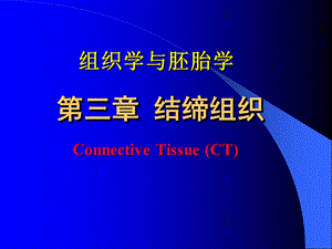 《结缔组织》PPT课件.ppt