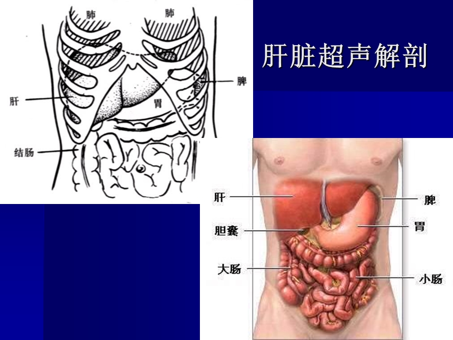 《消化系统超声》PPT课件.ppt_第3页