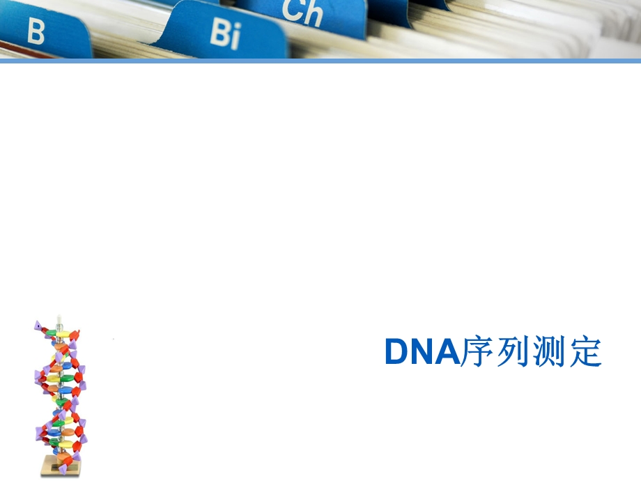 DNA测序化学降解法.ppt_第1页