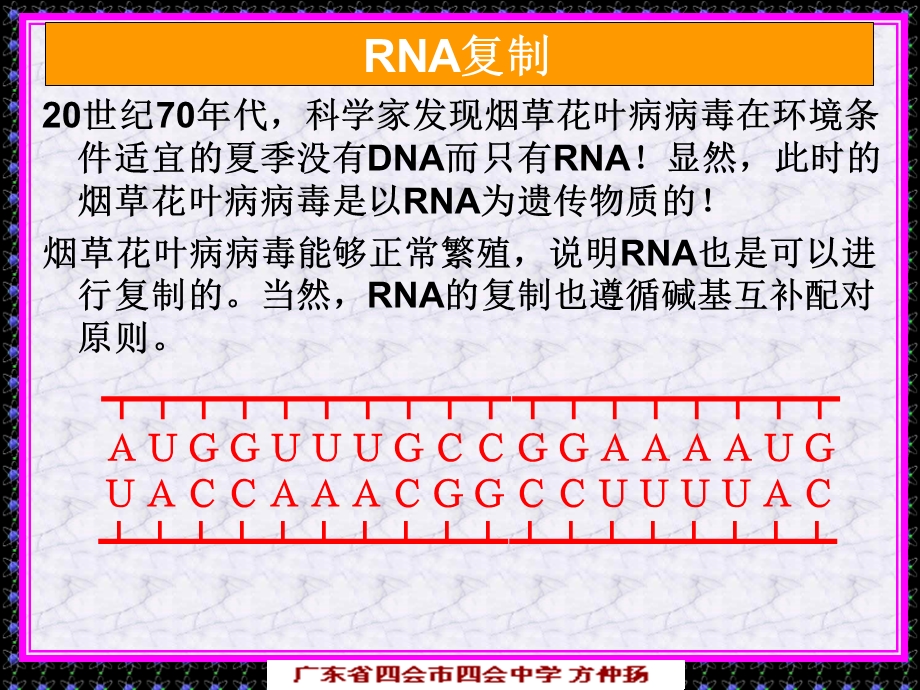 《中心法则》PPT课件.ppt_第3页