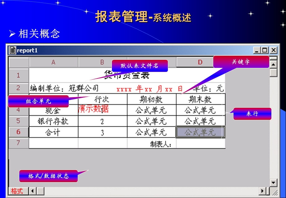 《报表管理新》PPT课件.ppt_第3页