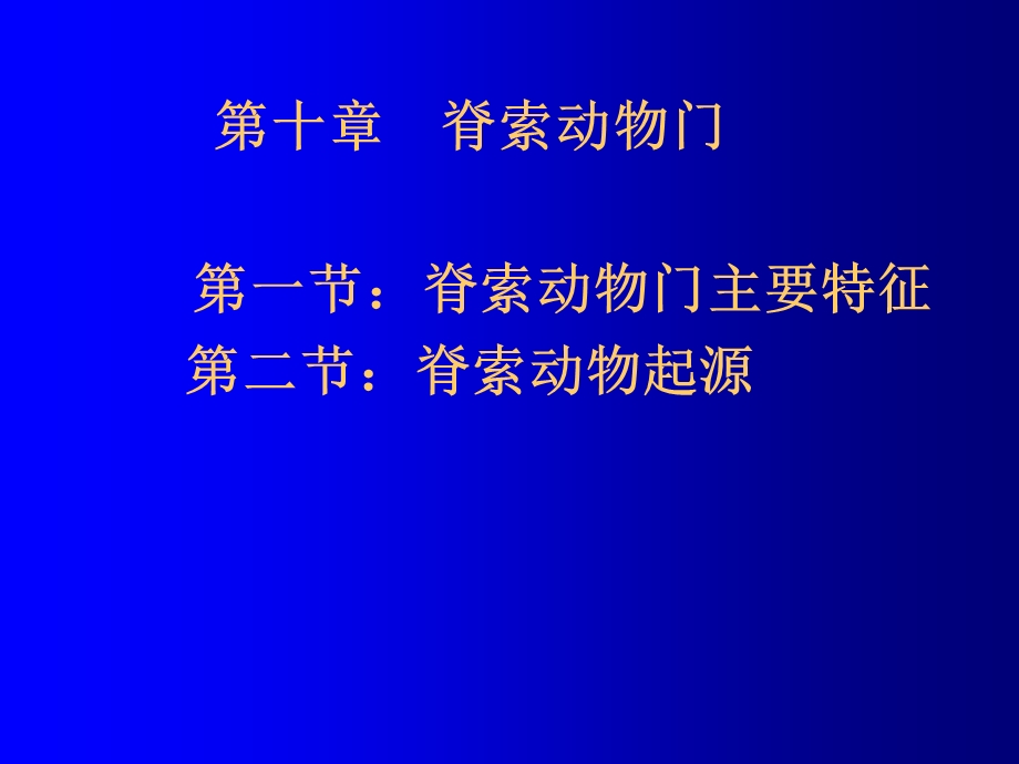 《脊索概述》PPT课件.ppt_第1页