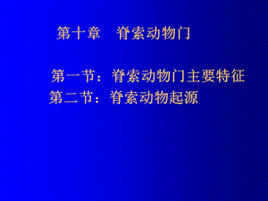 《脊索概述》PPT课件.ppt