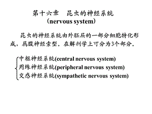 《昆虫的神经系统》PPT课件.ppt