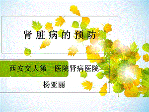 《肾脏病的预防》PPT课件.ppt