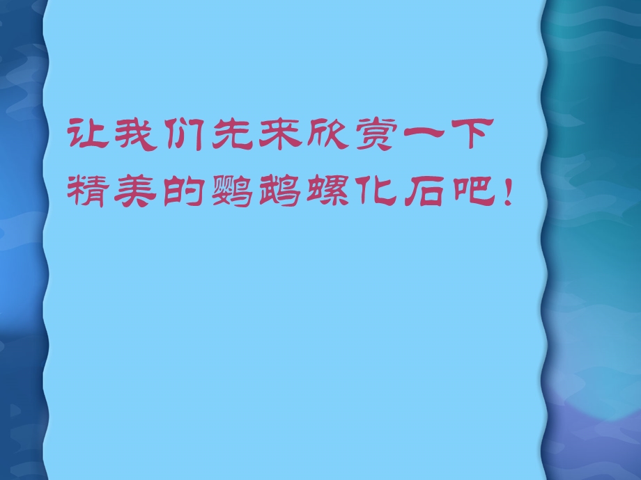 《精美的鹦鹉螺》PPT课件.ppt_第2页