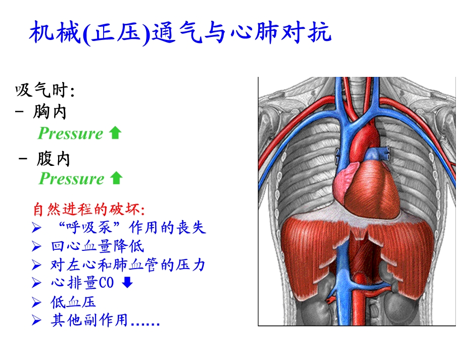 《呼吸支持急诊》PPT课件.ppt_第2页