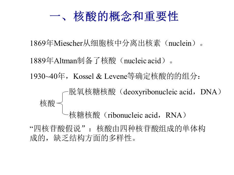 《核酸化学 》PPT课件.ppt_第2页