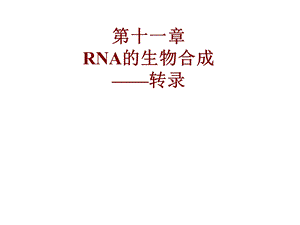 RNA的生物合成—转录.ppt