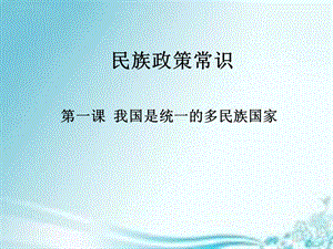 《民族政策常识》PPT课件.ppt