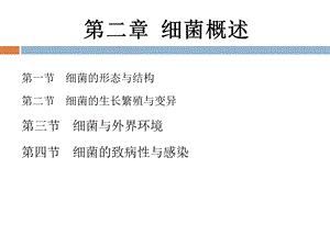 《细菌概述》PPT课件.ppt