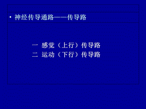 《神经传导通路》PPT课件.ppt