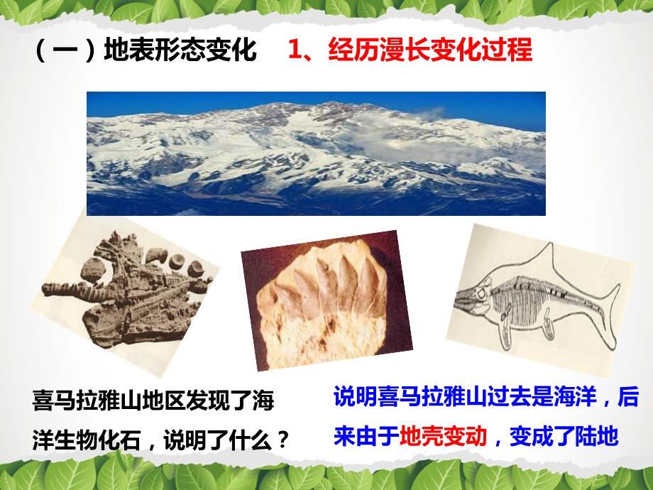 《海陆变迁》PPT课件.ppt_第3页